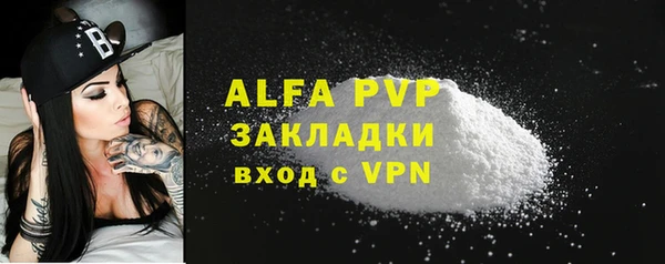 ECSTASY Пересвет