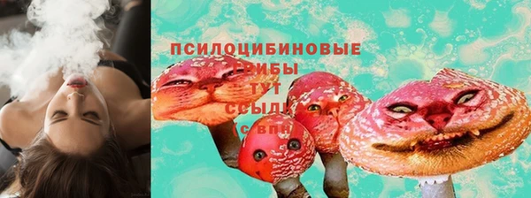 бошки Алексеевка
