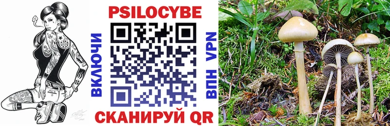 Галлюциногенные грибы Psilocybine cubensis  Геленджик 